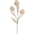 KUNSTBLUME - Creme, Basics, Papier/Kunststoff (68cm) - Ambia Home