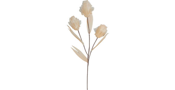 KUNSTBLUME - Creme, Basics, Papier/Kunststoff (68cm) - Ambia Home