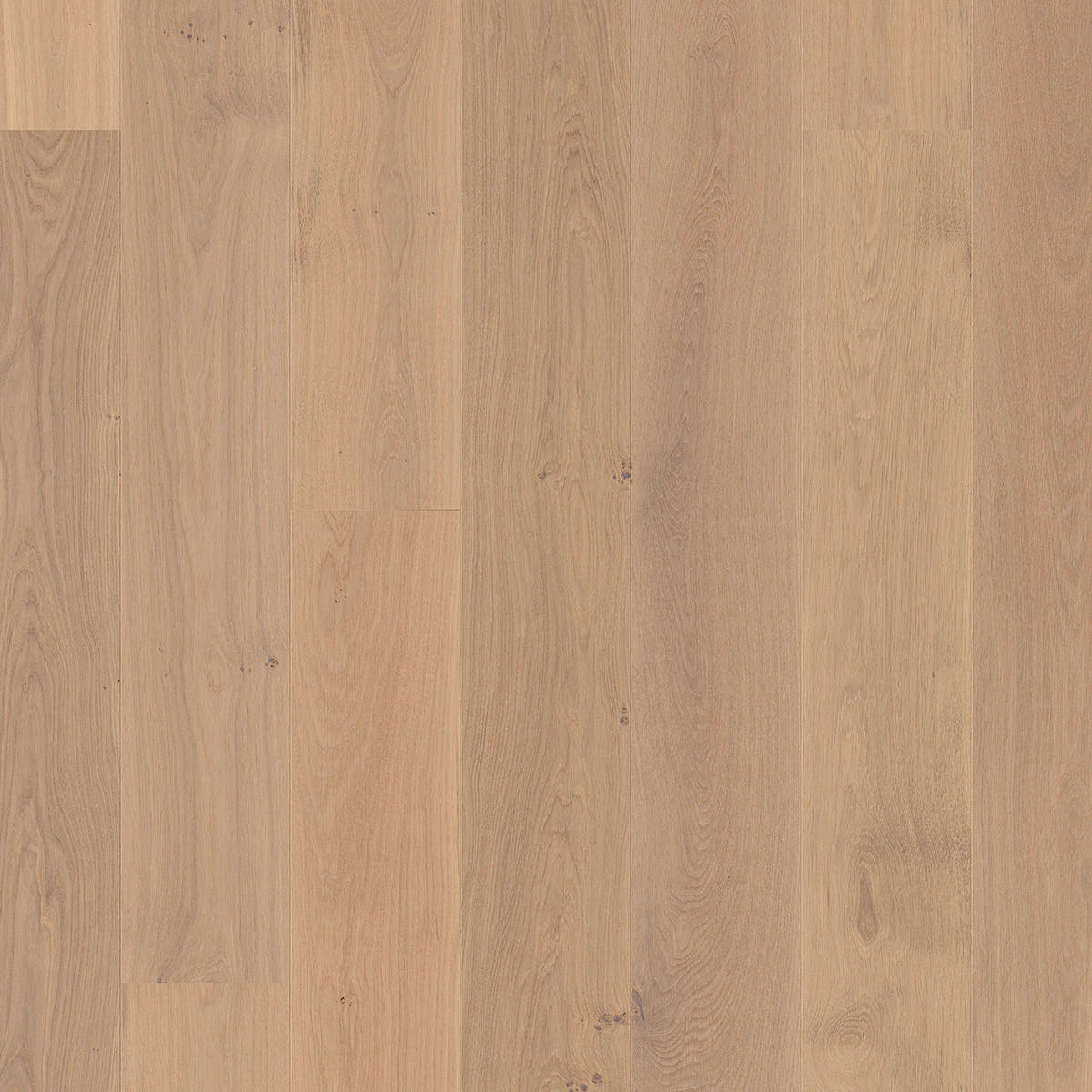 LANDHAUSDIELE Puristico Trend Eiche Weiss Balance 100013601  per  m² - Eichefarben, Trend, Holz (220,5/17,6/1,3cm) - Tilo