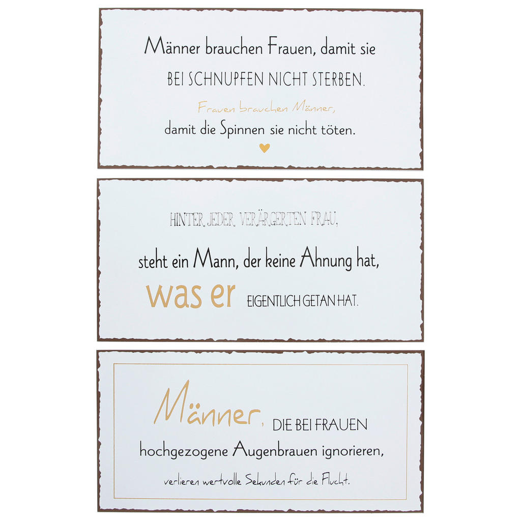 Metallbild Männer Versch. Sprüche 40x20 Cm