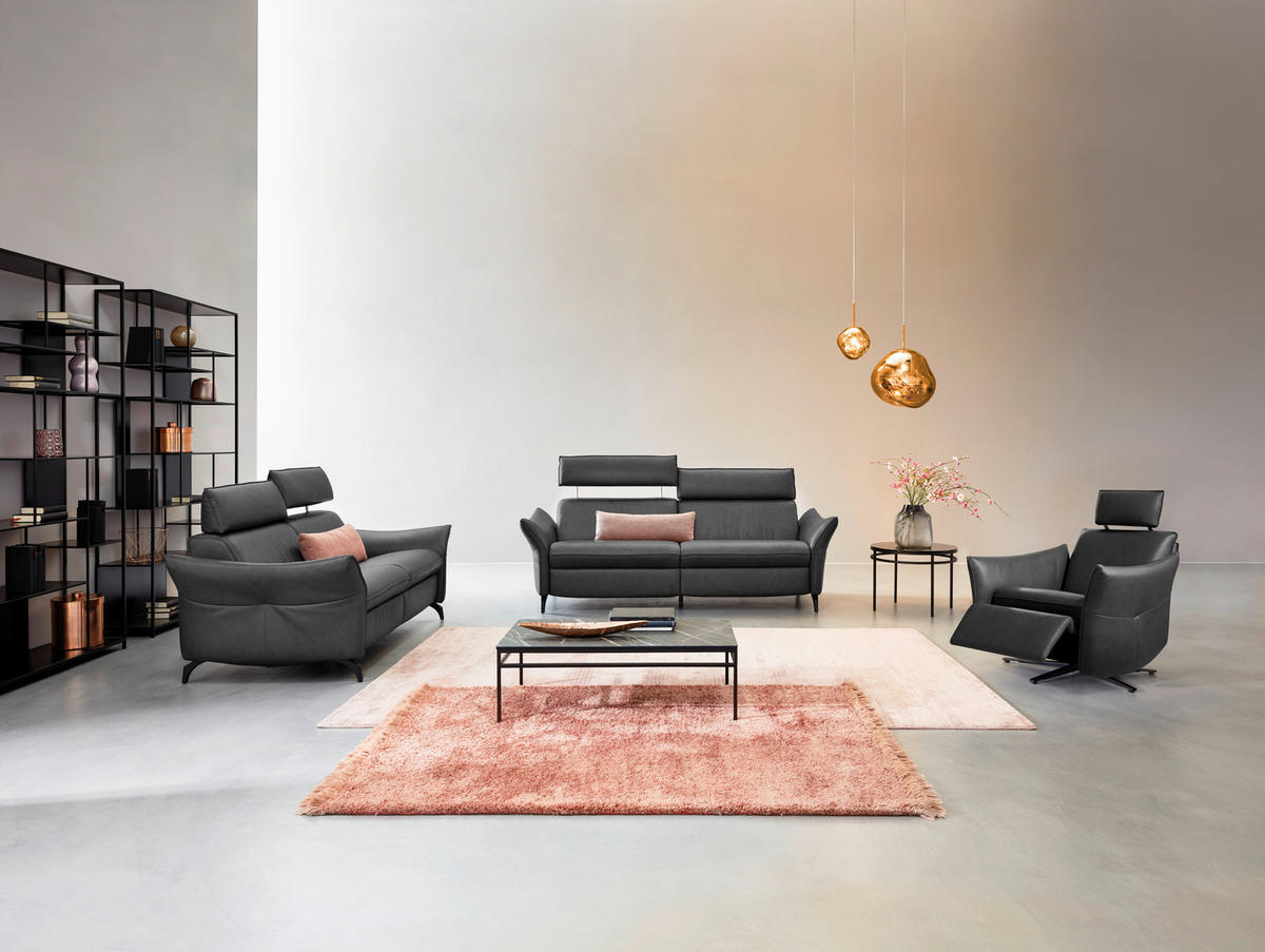 3-SITZER-SOFA Echtleder Dunkelgrau  - Dunkelgrau/Anthrazit, Design, Leder/Metall (224/92/95cm) - Himolla