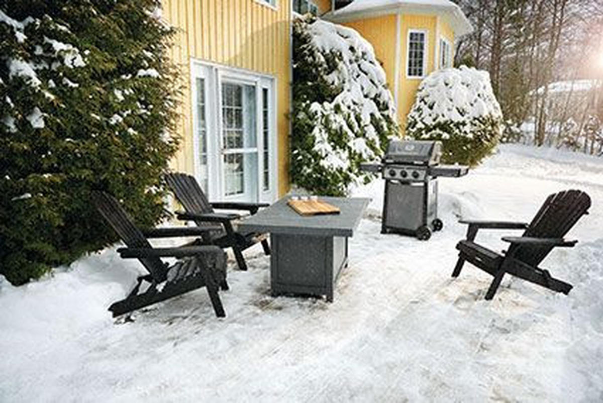 Plinski roštilj F365PGT FREEST  siva  - siva, Moderno, metal (124/116/64cm) - Napoleon