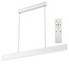 ZÁVESNÉ LED SVIETIDLO,  118/120/1.5 cm - biela, Basics, kov (118/120/1.5cm)
