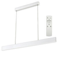 ZÁVESNÉ LED SVIETIDLO,  118/120/1.5 cm - biela, Basics, kov (118/120/1.5cm)