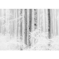 NON WOVEN-TAPET 400/280 cm  - vit/svart, Basics (400/280cm) - Komar