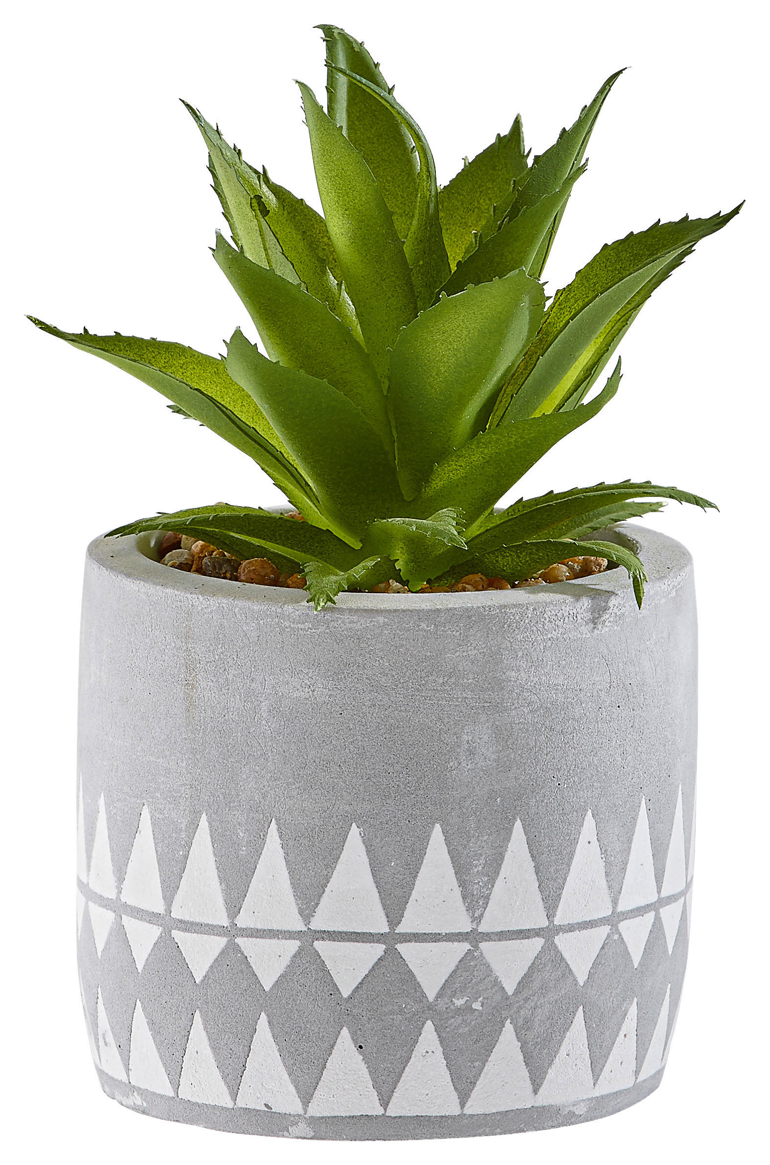SUKKULENTE Aloe Vera - Naturfarben/Weiß, Design, Kunststoff (9,5/19,5cm) - Ambia Home
