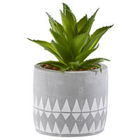 SUKKULENTE Aloe Vera  - Naturfarben/Weiß, Design, Kunststoff (9,5/19,5cm) - Ambia Home