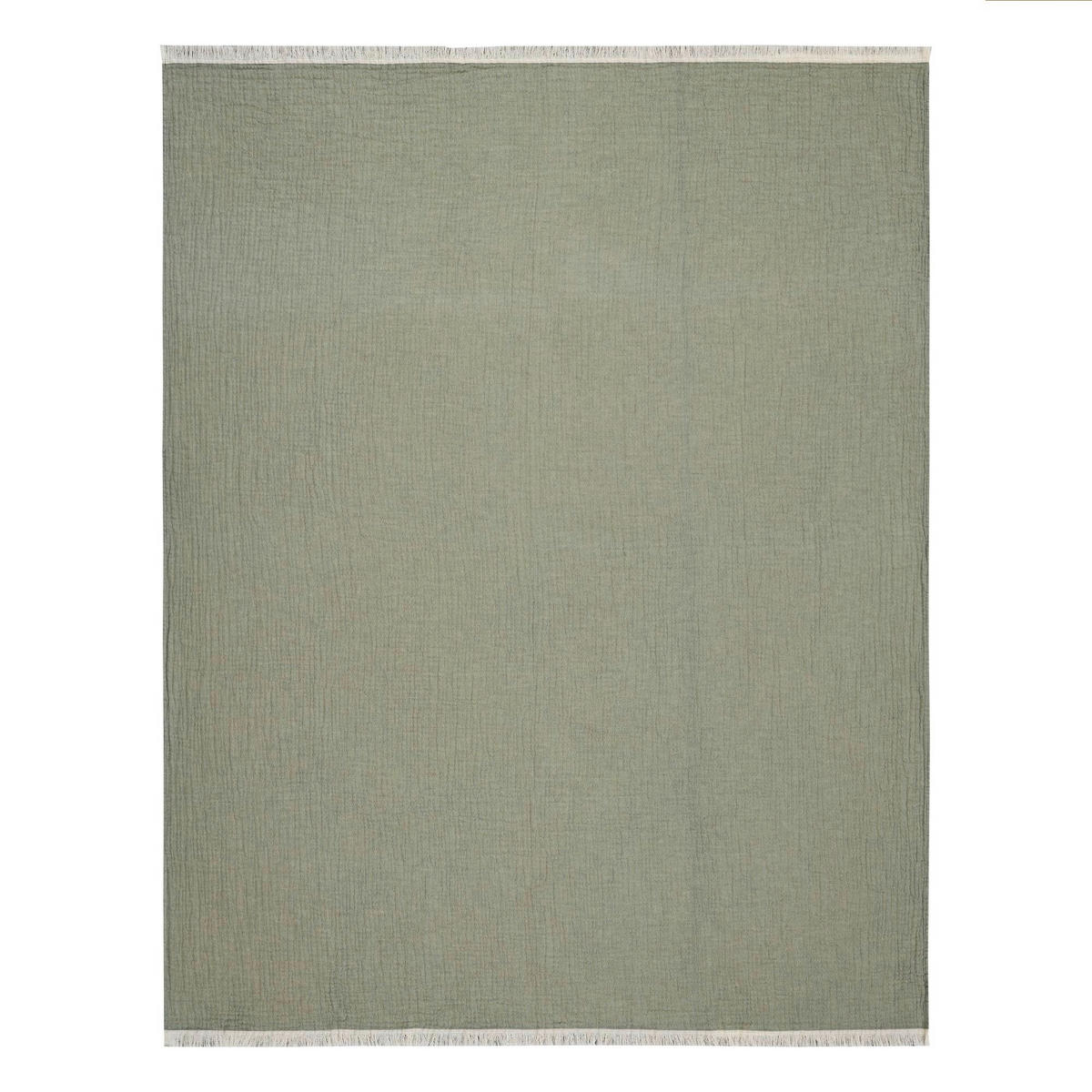 PLAID Baggy 125/170 cm  - Grün, Basics, Textil (125/170cm) - Bassetti