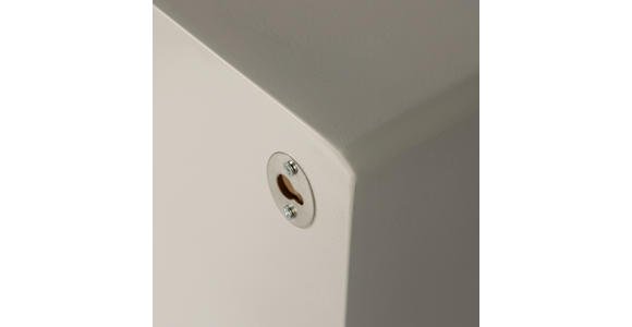 WANDREGAL Eukalyptusholz Grau - Grau, Design, Holz (24/70/15cm) - Carryhome