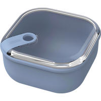 FRISCHHALTEDOSE Ela 1 L  - Transparent/Hellblau, Basics, Kunststoff (16/16/8,7cm) - Rotho