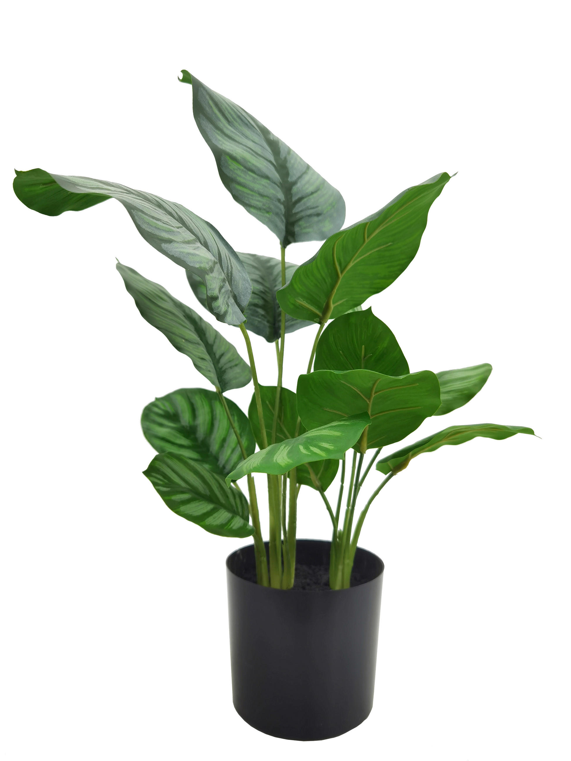 KUNSTPFLANZE 55 cm  - Schwarz/Grün, Basics, Kunststoff/Metall (55cm) - Ambia Home