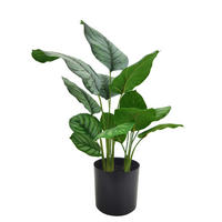 KUNSTPFLANZE 55 cm  - Schwarz/Grün, Basics, Kunststoff/Metall (55cm) - Ambia Home
