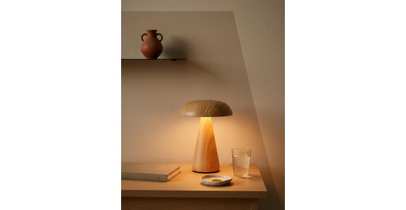 TISCHLEUCHTE - Naturfarben, Trend, Kunststoff/Metall (15,5/21cm) - Novel