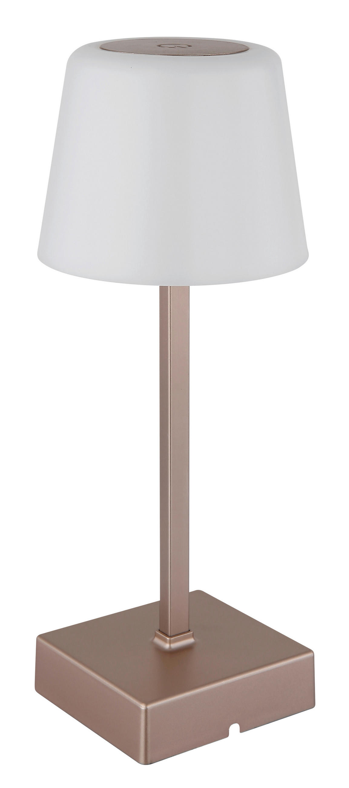 STOLNA PUNJIVA SVJETILJKA XAYDEN  - crna/boje šampanjca, Basics, metal/plastika (8,5/25,5cm)