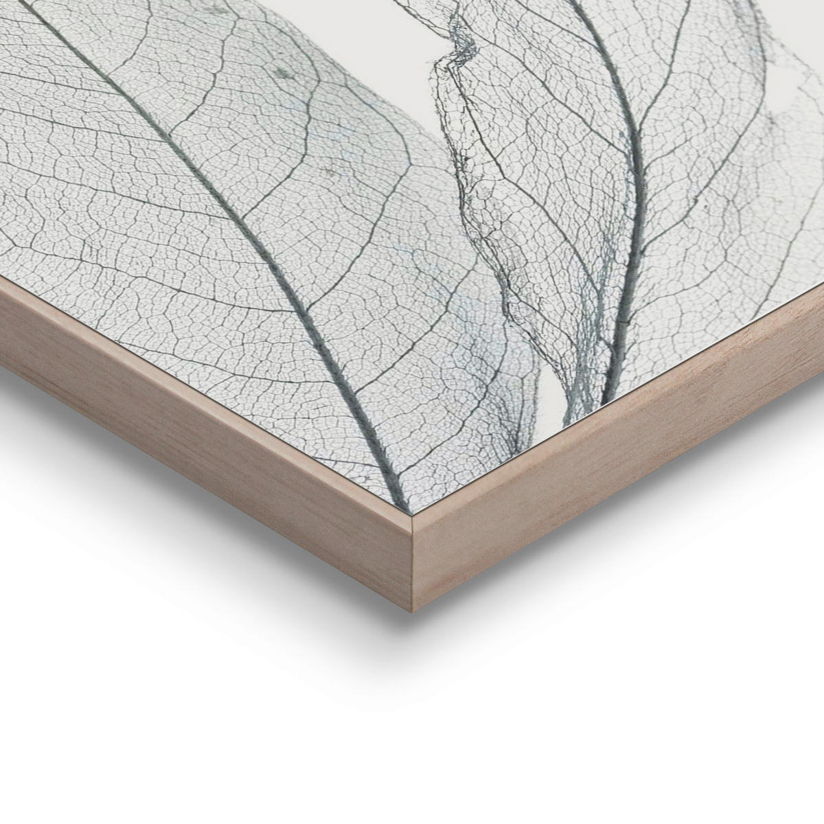 BILDERSET - Weiß, Basics, Holz (60/30/2cm) - Reinders!