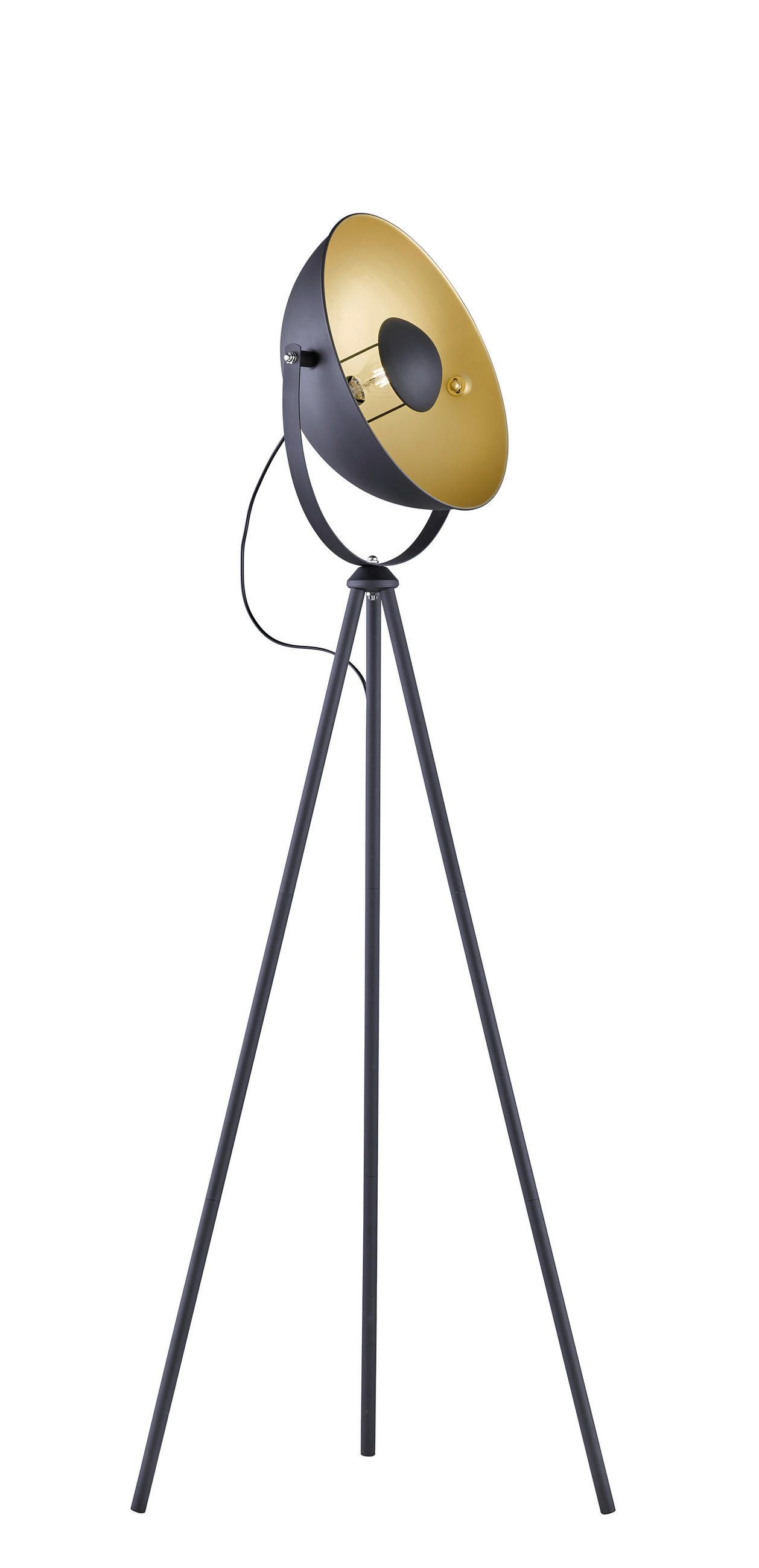 STOJACÍ LAMPA, 40/160 cm  - černá/barvy zlata, Basics, kov (40/160cm) - Marama