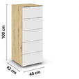 KOMMODE  in 40/100/42 cm  - Weiß/Eiche Artisan, Design, Holzwerkstoff/Metall (40/100/42cm) - Carryhome