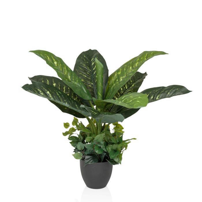 KUNSTPFLANZE Dieffenbachia  - Schwarz/Grün, MODERN, Kunststoff (42/80/33cm) - MID.YOU
