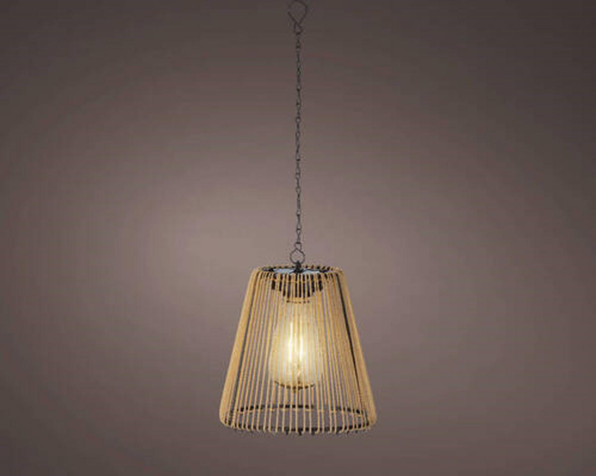 FELINAR - Basics (17,5/18cm)