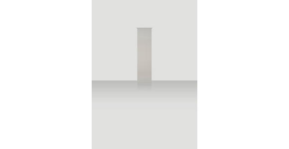 FLÄCHENVORHANG in Grau halbtransparent  - Grau, Design, Textil (60/255cm) - Novel