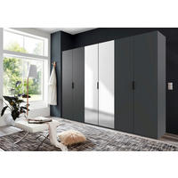 FALTTÜRENSCHRANK 300/216/58 cm 6-türig Graphitfarben  - Schwarz/Graphitfarben, Design, Glas/Holzwerkstoff (300/216/58cm) - Boxxx