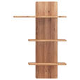 WANDPANEEL Wildeiche massiv Wildeiche  - Wildeiche, KONVENTIONELL, Holz (70/106/22cm) - Linea Natura