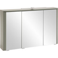 SPIEGELSCHRANK 101/64/21 cm  - Schilfgrün/Silberfarben, KONVENTIONELL, Glas/Holzwerkstoff (101/64/21cm) - Xora