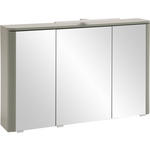 SPIEGELSCHRANK 101/64/21 cm  - Schilfgrün/Silberfarben, KONVENTIONELL, Glas/Holzwerkstoff (101/64/21cm) - Xora