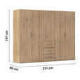 DREHTÜRENSCHRANK  in Sonoma Eiche  - Sonoma Eiche, Design, Holzwerkstoff/Kunststoff (251/197/60cm) - Novel
