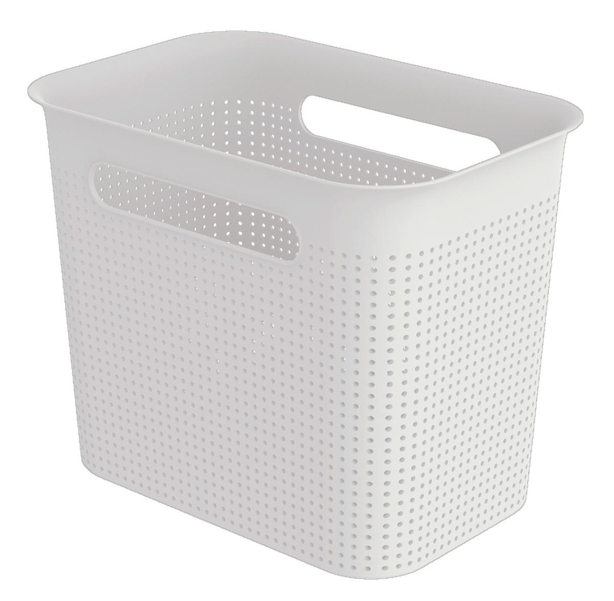 BOX, plast - biela, Basics, plast (26,2/18/21,1cm) - Rotho