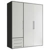 DREHTÜRENSCHRANK in Graphitfarben, Weiss  - Weiss/Silberfarben, Modern, Holzwerkstoff/Kunststoff (155/194/58cm) - Livetastic