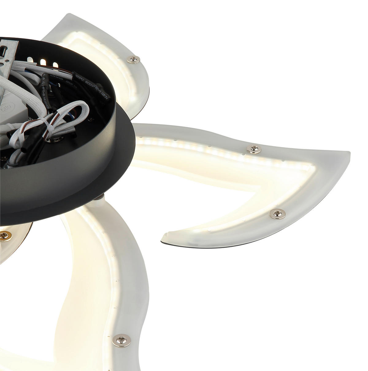 LED-DECKENLEUCHTE Lavonne 55/8,8 cm  - Opal/Schwarz, Design, Kunststoff/Metall (55/8,8cm) - Globo