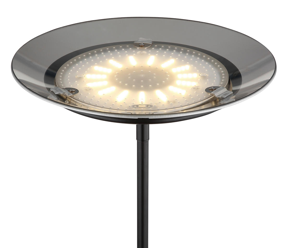 LED-STEHLEUCHTE - Schwarz, Konventionell, Glas/Kunststoff (30/178,5cm) - Globo