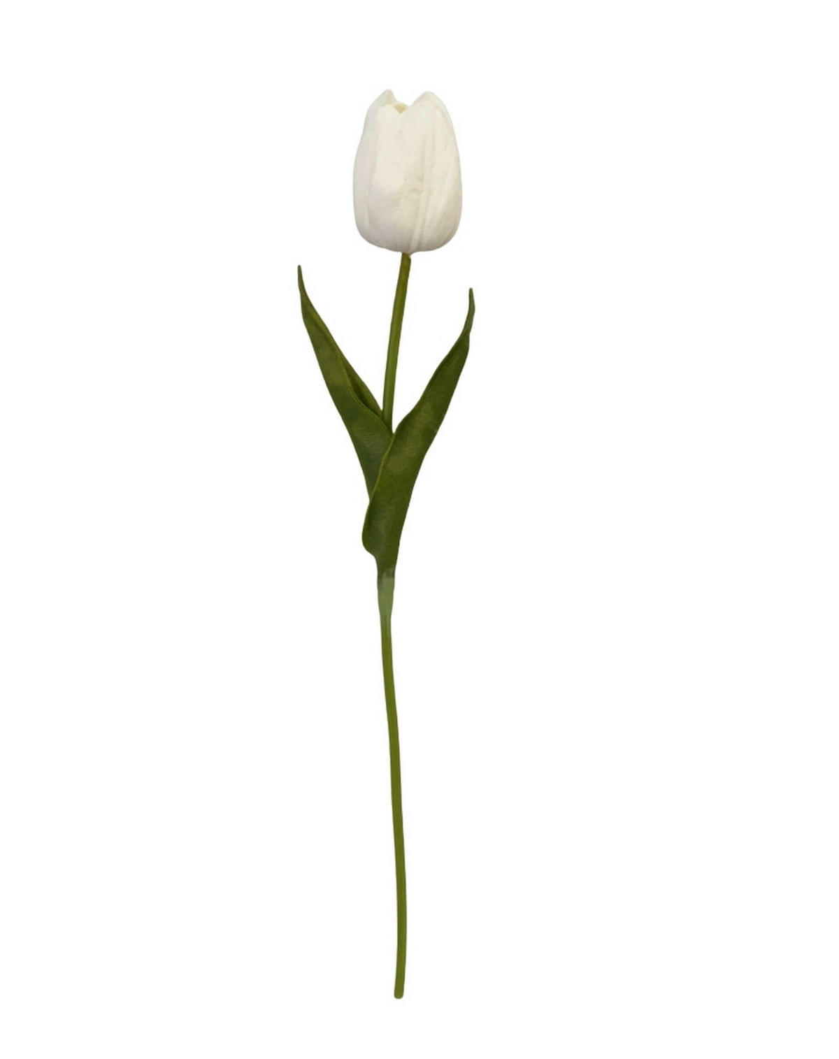 TULIPÁN - krémszínű/sárga, Lifestyle, műanyag (36cm)