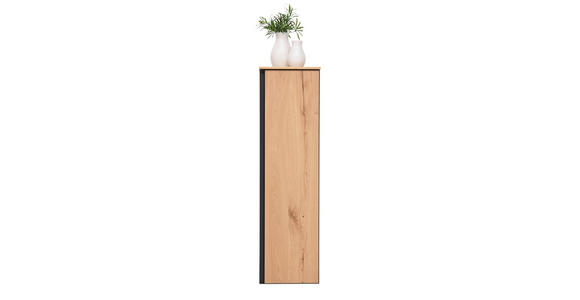 MIDISCHRANK 35/125/37 cm  - Eichefarben/Schwarz, MODERN, Glas/Holzwerkstoff (35/125/37cm) - Dieter Knoll