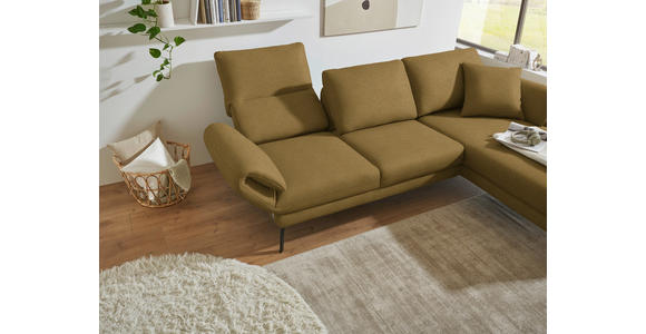 ECKSOFA  in Flachgewebe Schilfgrün  255-365/175-224 cm  - Schilfgrün/Schwarz, Design, Textil/Metall (255-365/175-224cm) - Dieter Knoll