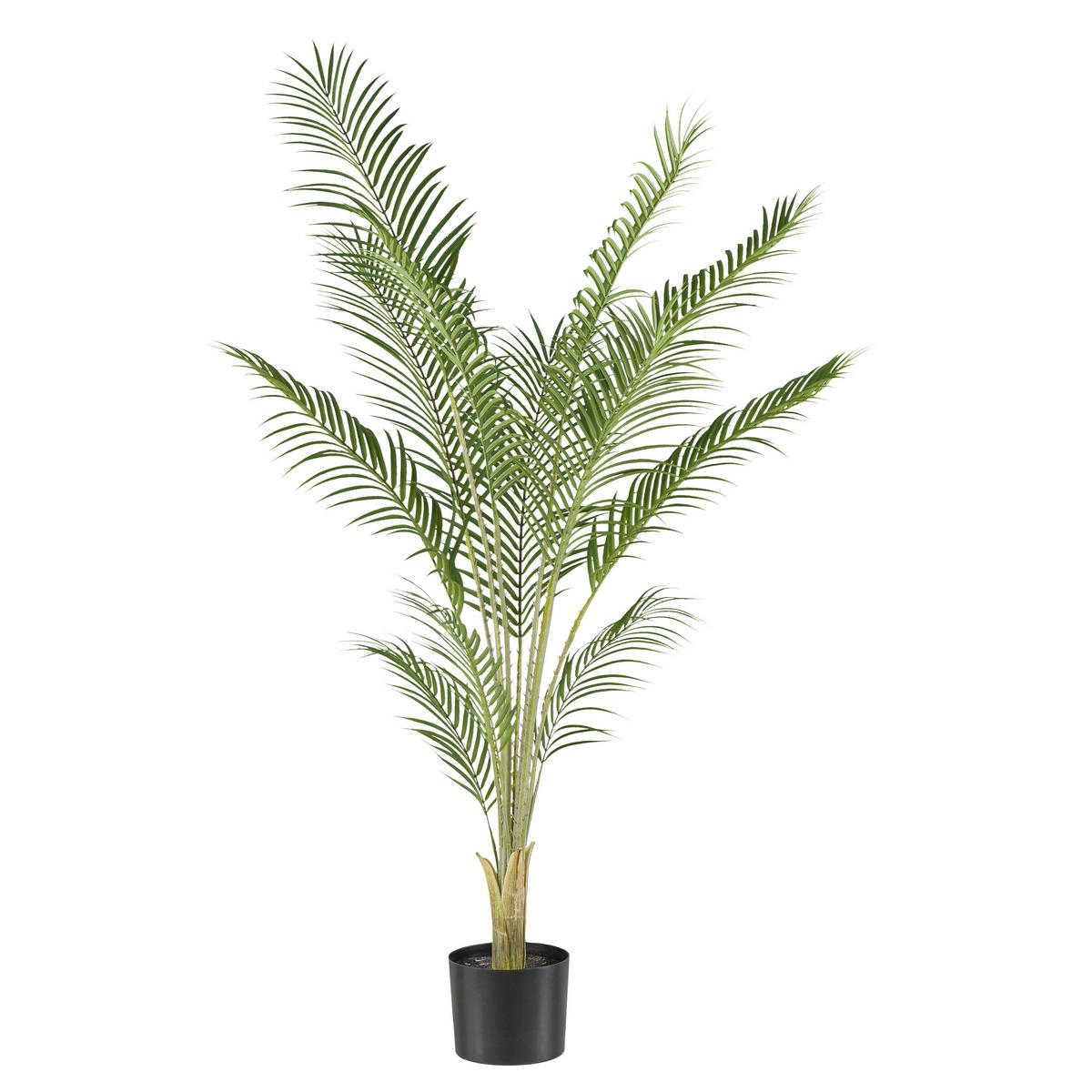 KUNSTPFLANZE Palme 150 cm  - Hellbraun/Schwarz, Design, Kunststoff (150cm) - P & B