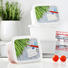 Gefrierdose 4-TLG - Weiß, Basics, Kunststoff (15,7/11,8/13,2cm) - Rotho Gefrierdose 4-TLG - Weiß, Basics, Kunststoff (15,7/11,8/13,2cm) - Rotho