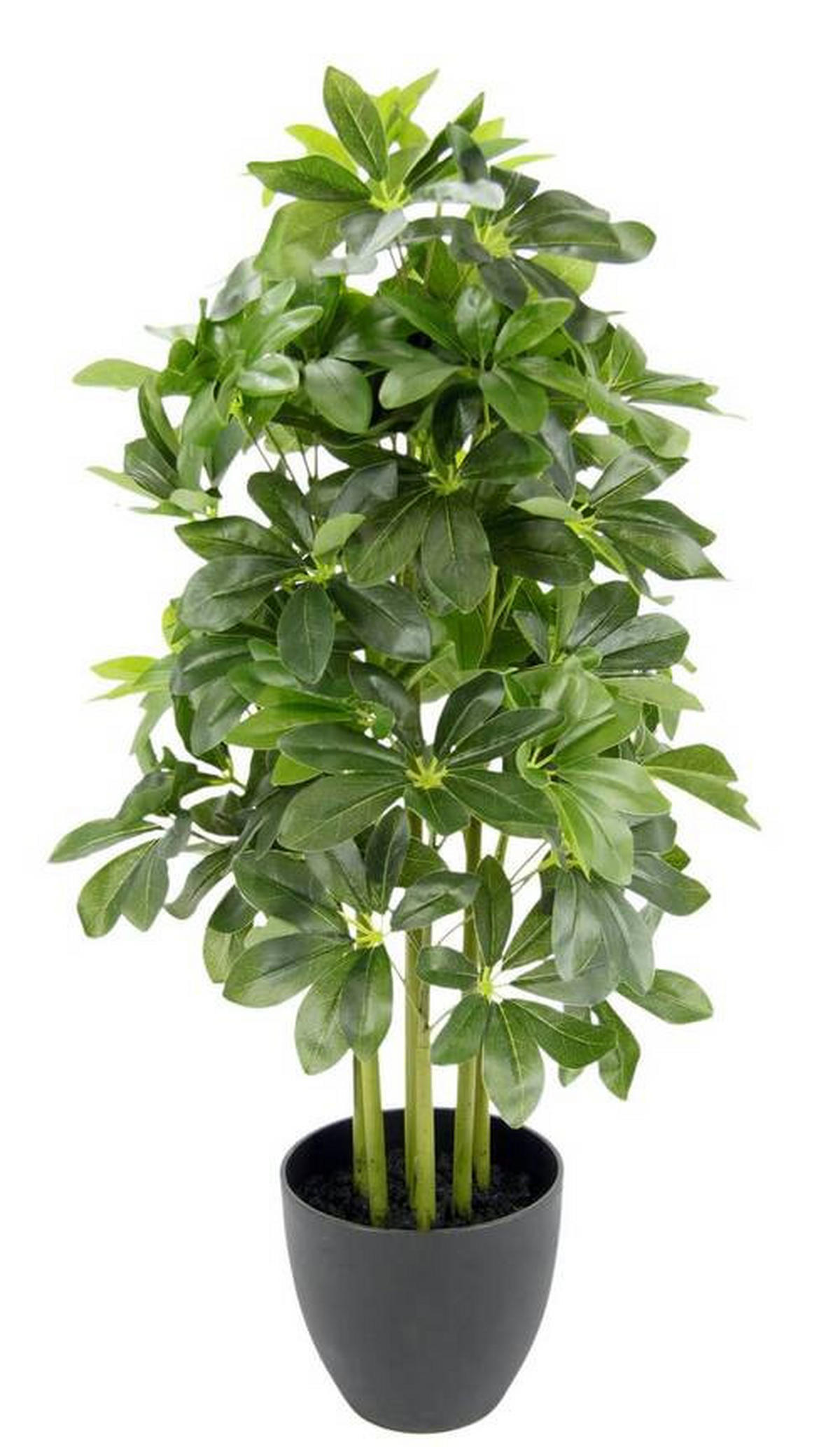 KUNSTPFLANZE 80 cm  - Grün, Basics, Kunststoff/Textil (80cm)