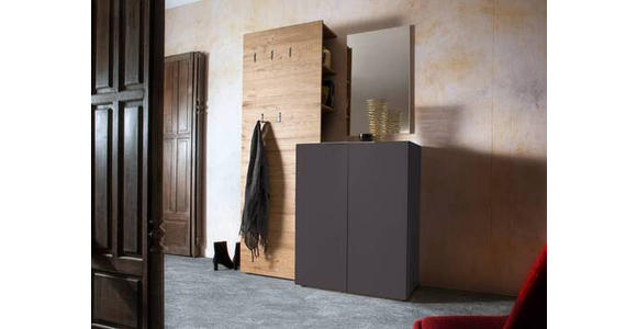 SCHUHSCHRANK in 80/101/39 cm - Edelstahlfarben/Anthrazit, Design, Holzwerkstoff/Kunststoff (80/101/39cm) - Carryhome