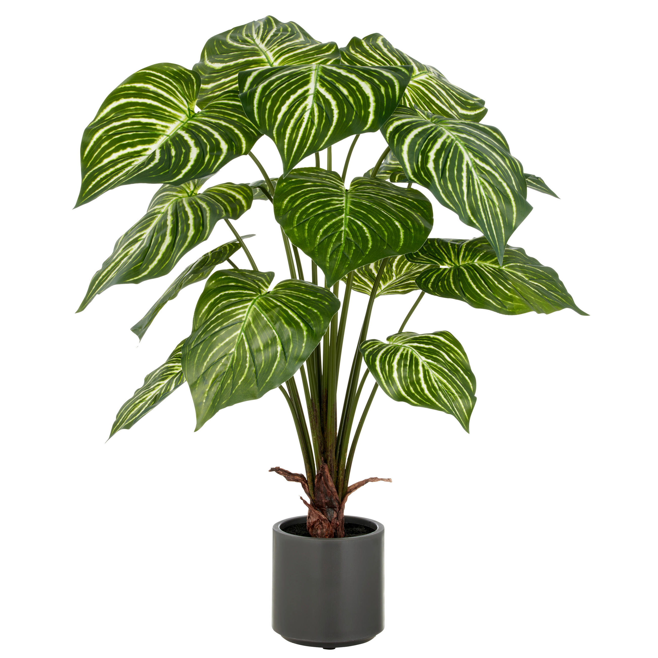 KUNSTPFLANZE Philodendron 100 cm  - Weiß/Grau, Basics, Kunststoff (100cm) - P & B