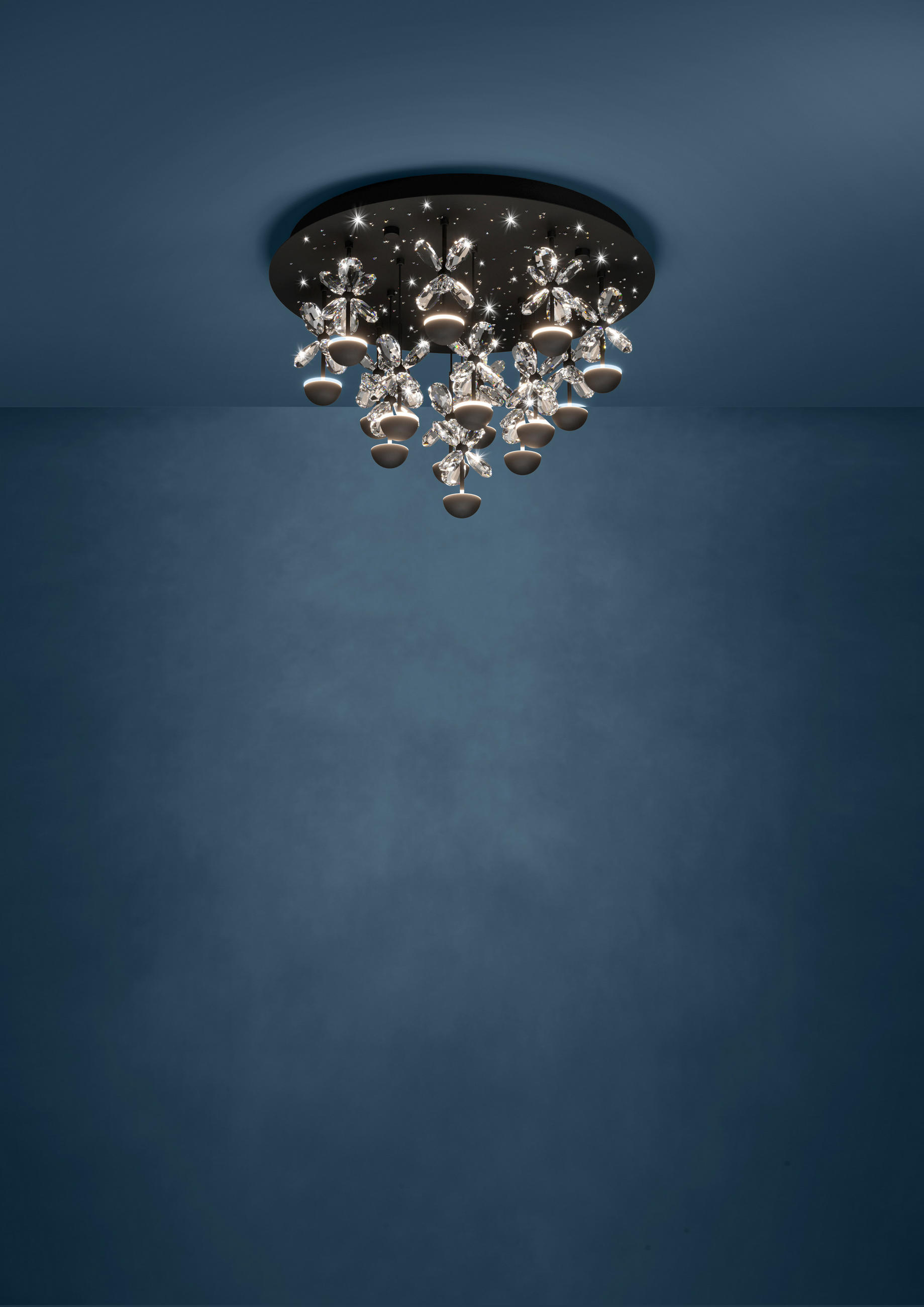 LED PLAFONJERA - prozirna/crna, Dizajnerski, staklo/metal (50/36,5cm)
