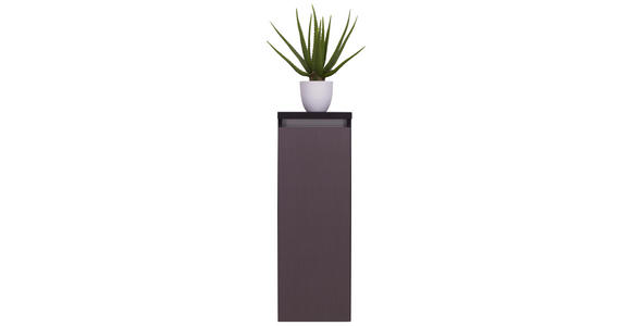 MIDISCHRANK 30/85,8/33 cm - Grau, MODERN, Glas/Holzwerkstoff (30/85,8/33cm) - Dieter Knoll