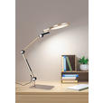 LED-SCHREIBTISCHLEUCHTE 98/20/22,5 cm  - Champagner/Schwarz, Design, Kunststoff/Metall (98/20/22,5cm) - Novel
