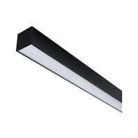 SCHIENENSYSTEM-STABLEUCHTE - Basics (5/4/4cm) - Paulmann
