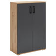 SCHUHSCHRANK 70/106/29,5 cm - Anthrazit/Schwarz, KONVENTIONELL, Holzwerkstoff/Kunststoff (70/106/29,5cm) - Xora