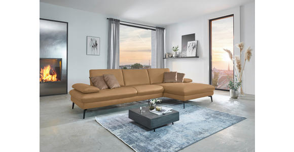 ECKSOFA in Echtleder Honig 325/157 cm - Schwarz/Honig, Design, Leder/Metall (325/157cm) - Dieter Knoll