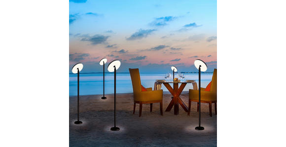 STEHLEUCHTE 29/150 cm    - Transparent/Schwarz, Trend, Kunststoff/Metall (29/150cm) - Novel