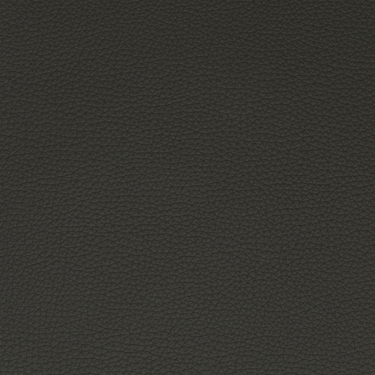 RELAXSESSEL TV TRIPLE SEVEN XTRA LARGE S1 Echtleder Kopfteilverstellung, Fußteilverstellung, Rücken echt    - Anthrazit/Schwarz, Basics, Leder/Metall (86/111/86cm) - Sit & More