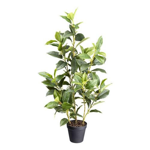 KUNSTPFLANZE Duftblüten 65 cm  - Schwarz/Braun, Design, Kunststoff (65cm) - P & B